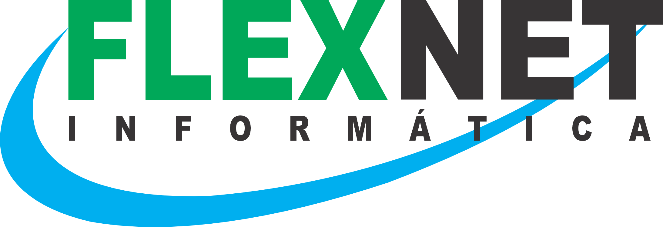 Flex Net Informática
